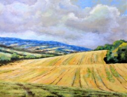 Krajina po žních  65x80